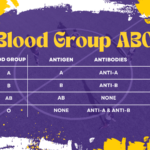 blood group systems